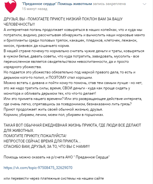 Помогите вернуть кота! Приют "Преданное сердце" украл кота и не отдает!-2