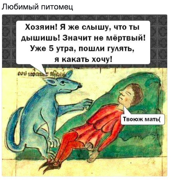 Немного картинок для настроения 13.12.19