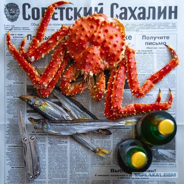 Сахалин мой остров