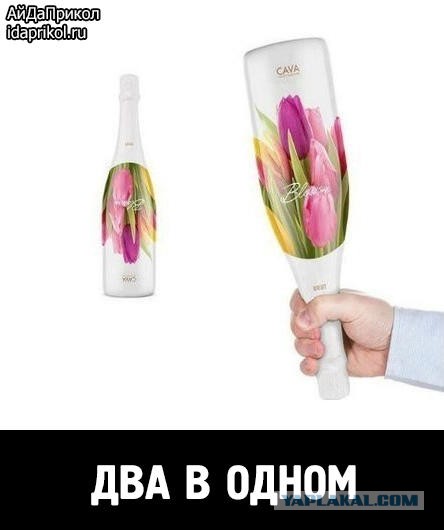 Бредзона 24.08.2020