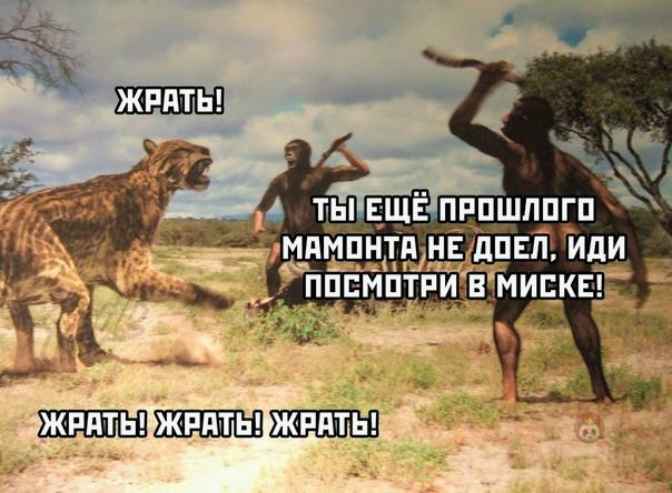 Немного картинок для настроения 15.10.20