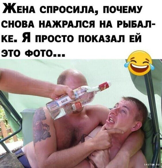 Фотки и картинки: юморные и красивые, забавные и милые 11.11.20