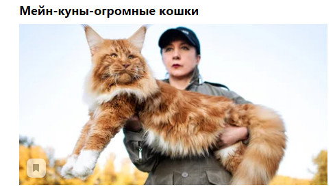 Фото-винегрет. Картинки ниапчём и обо всём