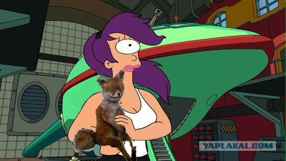 Таксидермия + наркомания