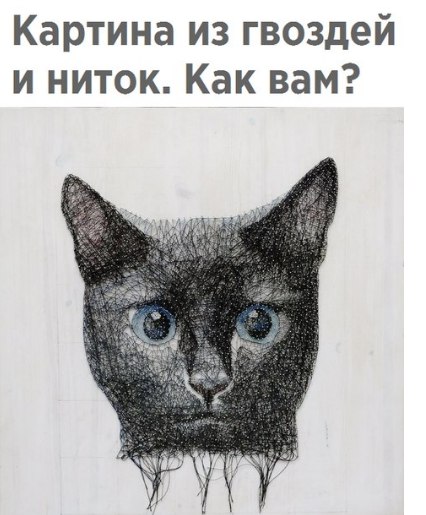 Картинки и мемы для настроения 026