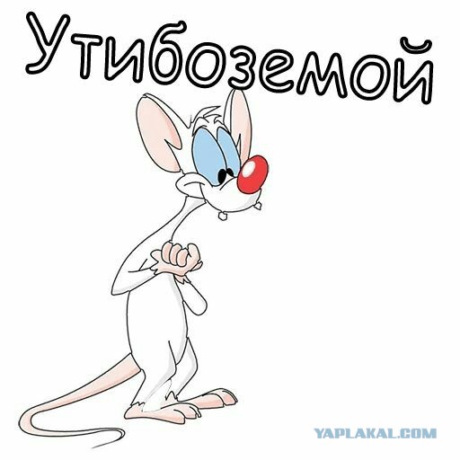 Красивые картинки! 04.02.2021