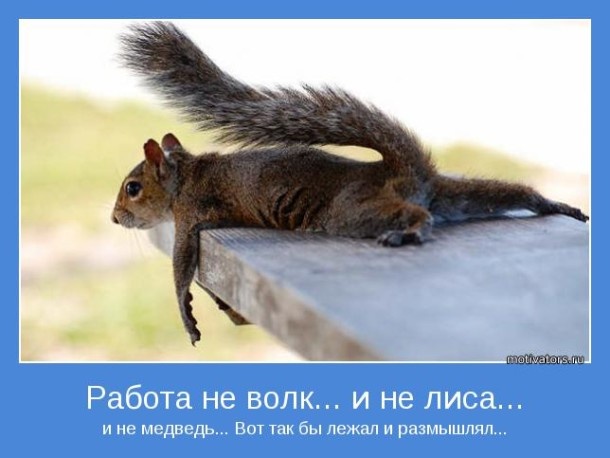 Винегрет из картинок боянистых и не очень для настроения или просто скоротать время