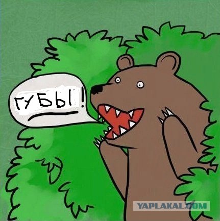 Обращение к админам краба