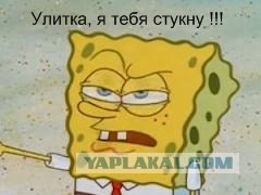Донецкий парковщик