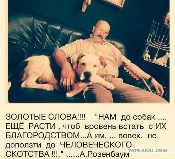 Как люди с этим потом живут?