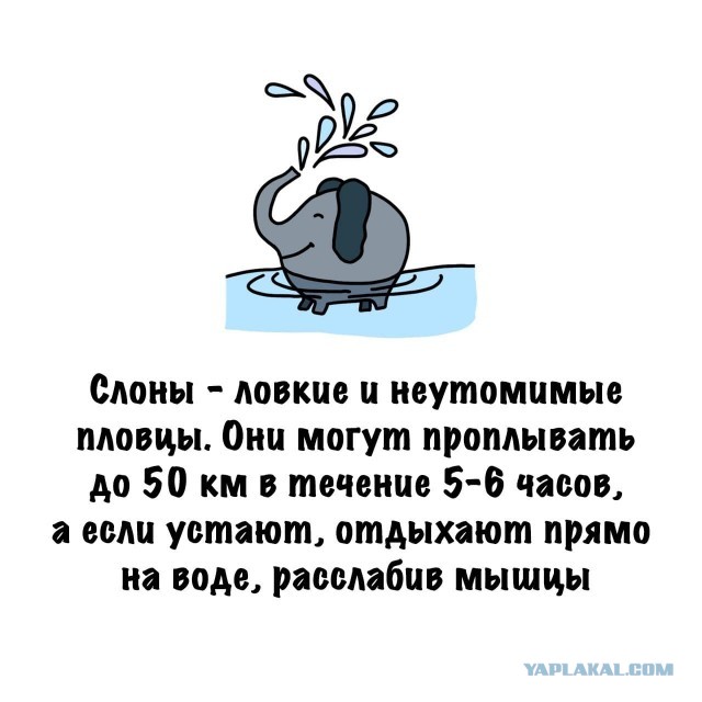 Картинки на субботу