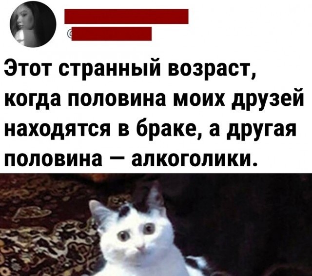 Так себе картинки 14.04.22