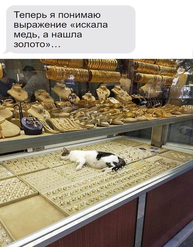 Картинки и мемы для настроения - 27