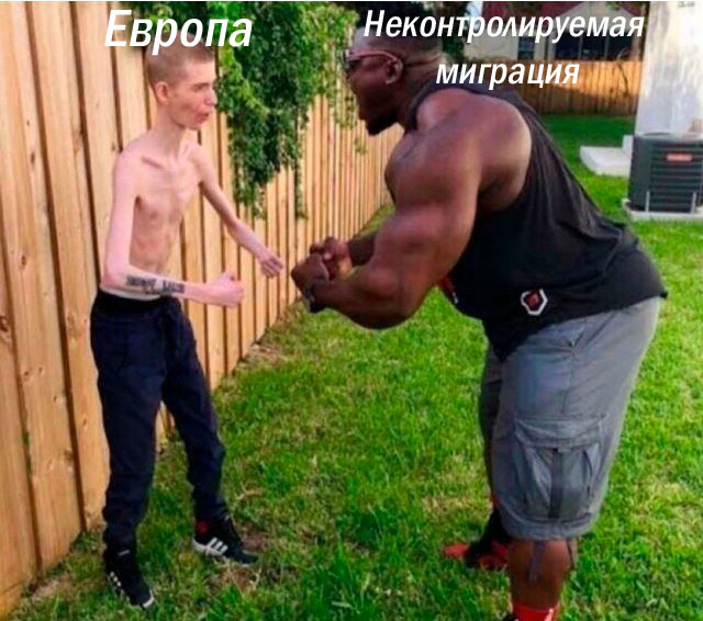 Новые датчане против старых