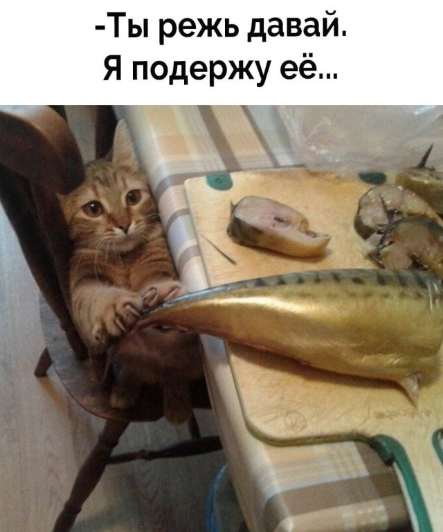 Так себе картинки 30.11.22