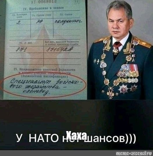 Шойгу представил к наградам летчиков после инцидента с американским дроном