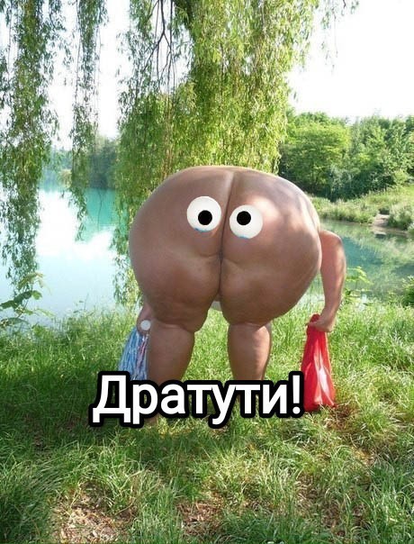 Женские попки господа