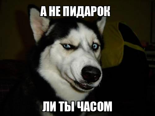 Мигрант чуть не изнасиловал 19-летнего соседа по палате в больнице в Тушино.