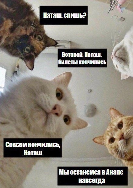 Завалялось тут случайно немного забавных картинок