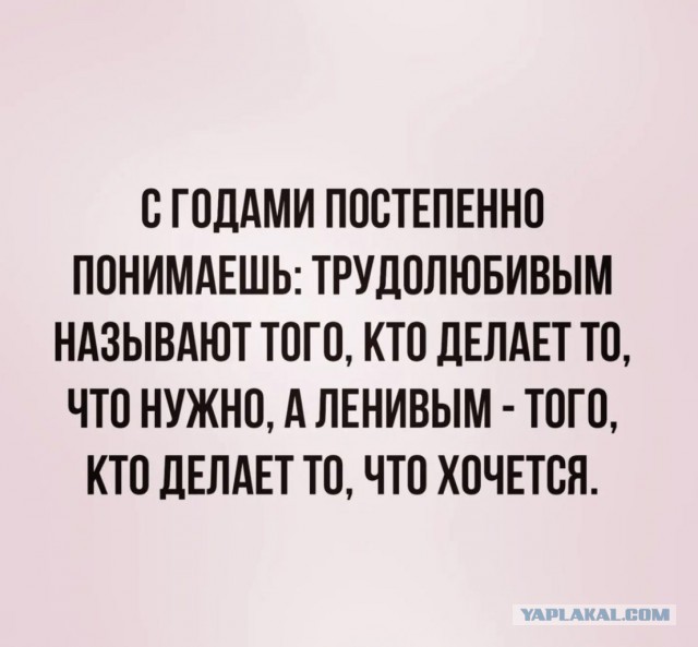 Дайте этому человеку чем-нибудь заняться