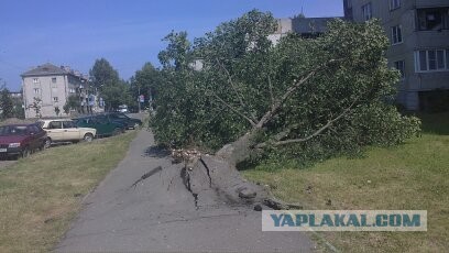 Ураган в Одессе