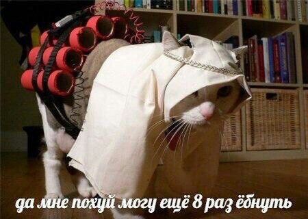 Картинки из Дристоля - 4
