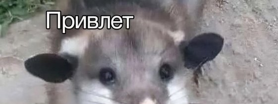 Так себе картинки 08.11.24
