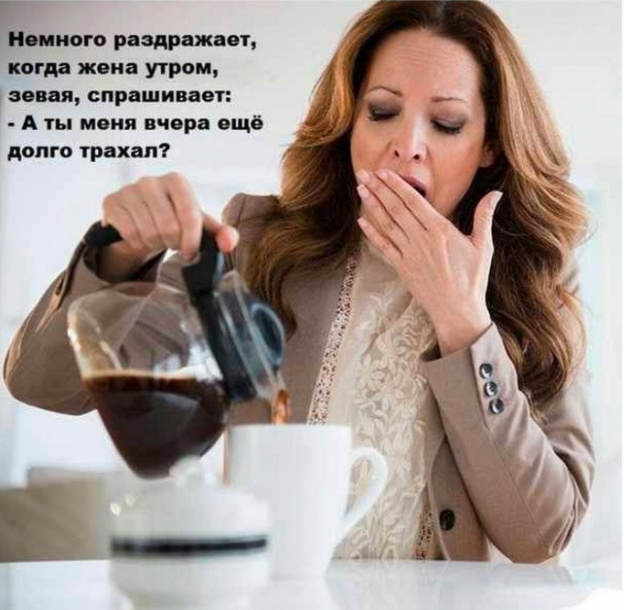 Весёлый полтишок 16.02.25