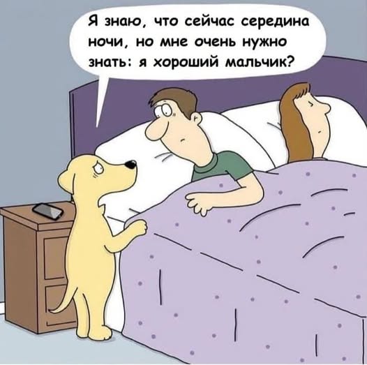 Нуштош 28.02.2025. Затерявшиеся мгновения (s3e8)
