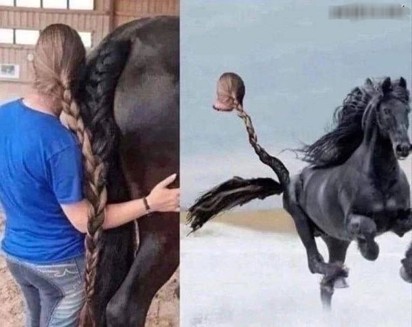 Веселые картинки в понедельник (24.03)