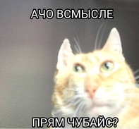 Приставы вышли за имуществом Чубайса