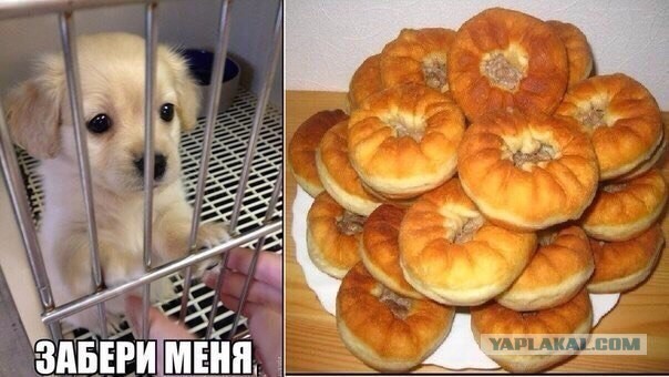 Пятничные 100м2 дичи
