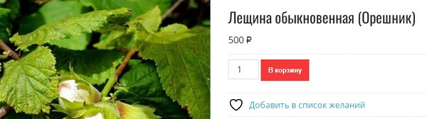 Степашин объяснил, почему Путин не стал бить «Орешником» по Банковой