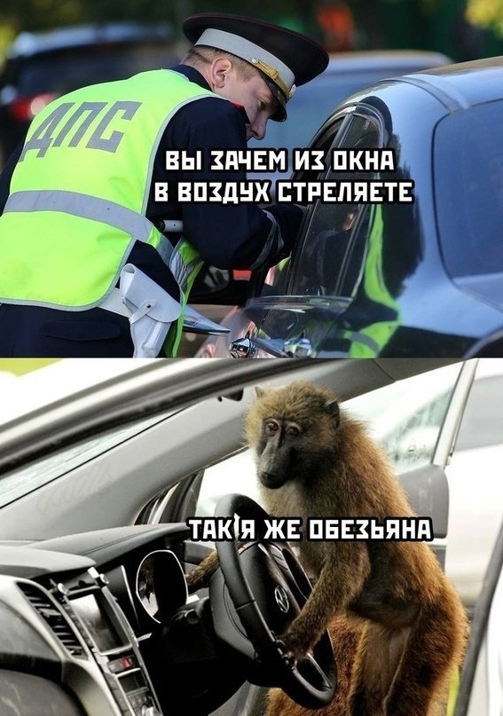 Мамашка-автомобилистка с ребёнком на коленях чуть не прибила столбом девушку с коляской.
