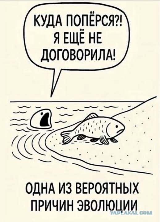 Картинки всякие разные невпопад 1.1