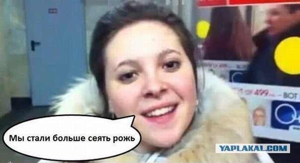 «Еще немного потрепыхаемся, а там посмотрим»: производители муки заявили, что РФ теряет ржаное хлебопечение