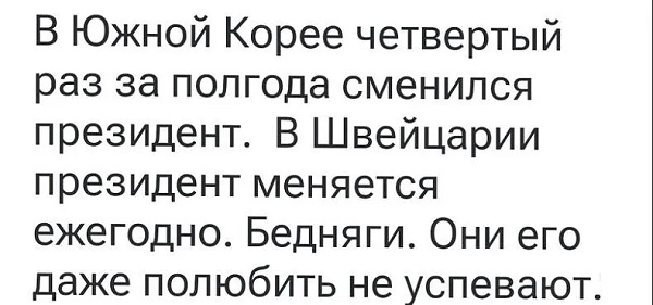 Мой кот
