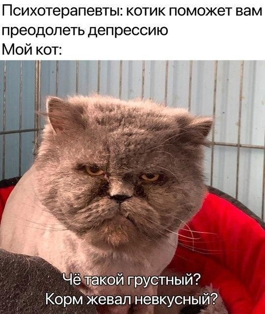 Картинки для деградации 197 (разной степени свежести)