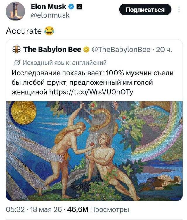 Веселые картинки в пятницу (05.06)