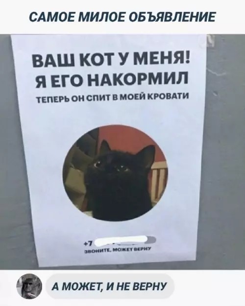 Так себе картинки 03.09.26
