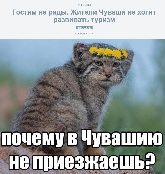 Картинки для деградации 298 (разной степени свежести)