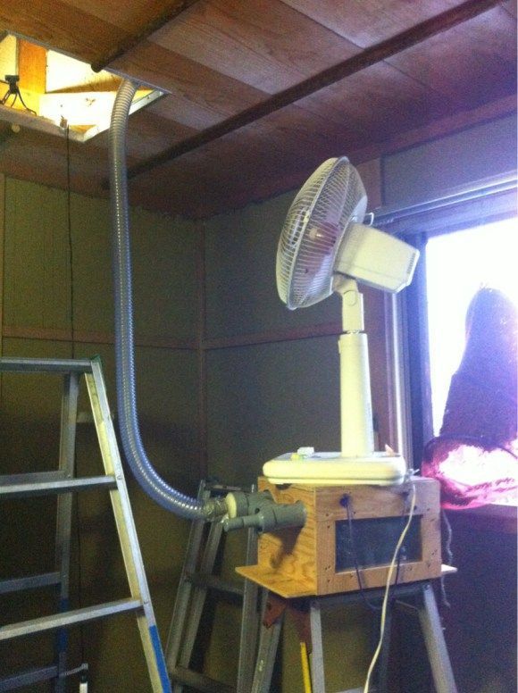 Нехитрый способ избавиться от пчел