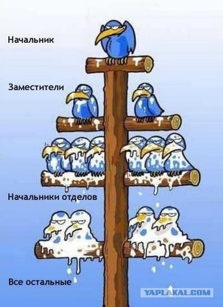Испанский архитектор разработал проект