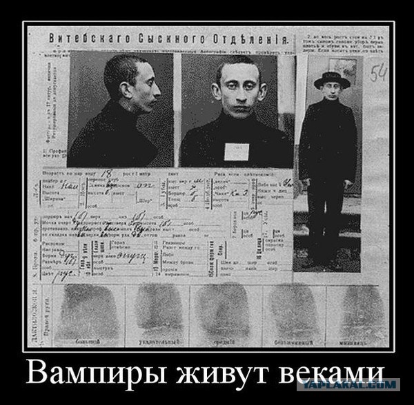 Бессмертный