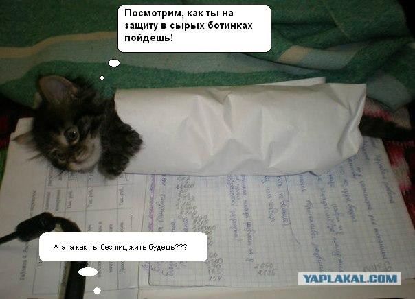 Он просто мешал