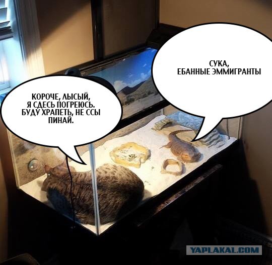 Нашёл тёплое место