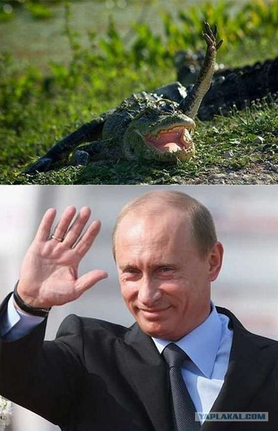 Обложки мировых СМИ с Путиным