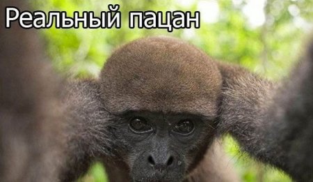 Подборка прикольных фото.