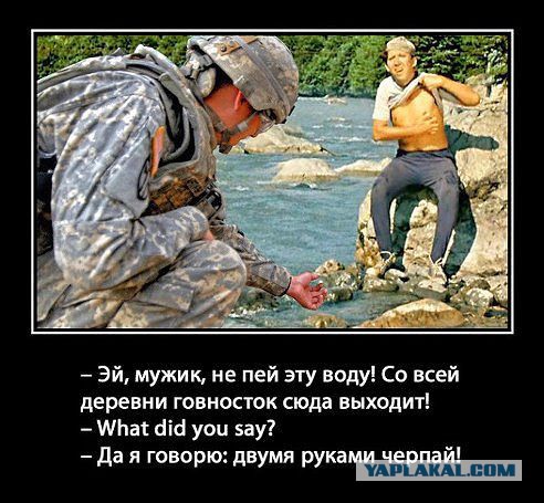 Картинки