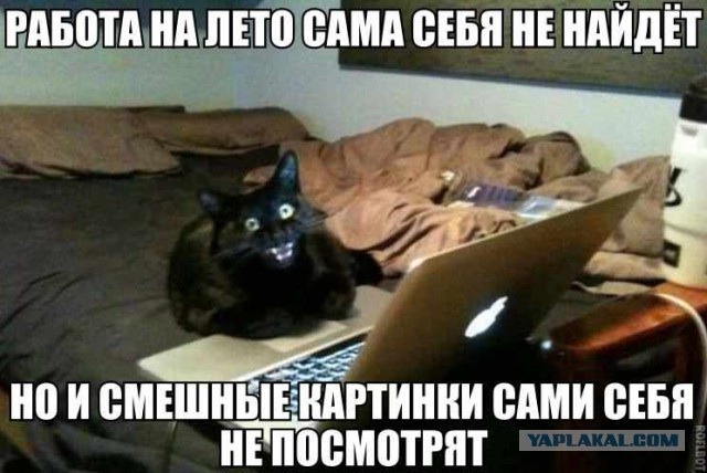 "Хочу играть!" - "Вот давай не сейчас!"